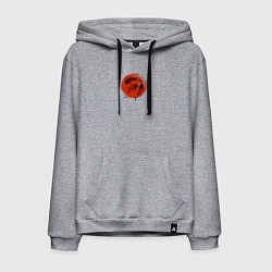 Мужская толстовка-худи Карпы кои