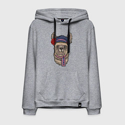 Мужская толстовка-худи Славянская лама