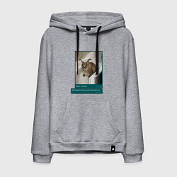 Мужская толстовка-худи Шлёпа