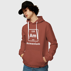 Толстовка-худи хлопковая мужская Армениум, цвет: кирпичный — фото 2