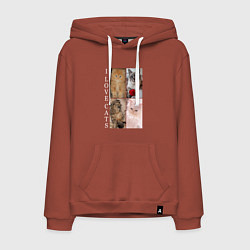 Мужская толстовка-худи I LOVE CATS Я ЛЮБЛЮ КОШЕК