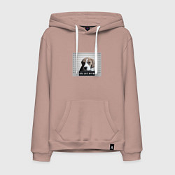 Мужская толстовка-худи Бигль шалун