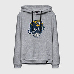 Толстовка-худи хлопковая мужская ФК СОЧИ, цвет: меланж