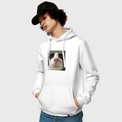 Толстовка-худи хлопковая мужская Задумчивый кот, цвет: белый — фото 2