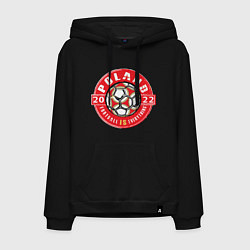 Мужская толстовка-худи Poland 2022