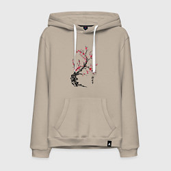 Толстовка-худи хлопковая мужская Сакура с иероглифами, цвет: миндальный