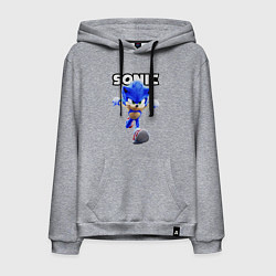 Мужская толстовка-худи Sonic the Hedgehog 2
