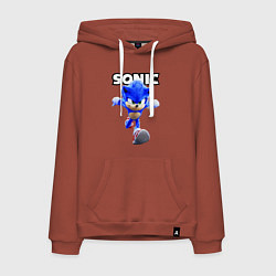 Толстовка-худи хлопковая мужская Sonic the Hedgehog 2022, цвет: кирпичный