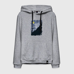 Мужская толстовка-худи Медведи на склоне