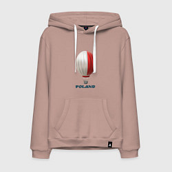 Мужская толстовка-худи 3d aerostat Polish flag