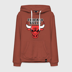Толстовка-худи хлопковая мужская Chicago Bulls, цвет: кирпичный
