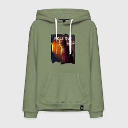 Мужская толстовка-худи STRAY FOLLOW MEOW