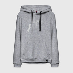 Мужская толстовка-худи Stray Street