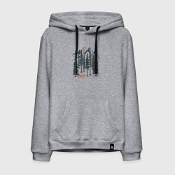 Мужская толстовка-худи Лисичка в Лесу