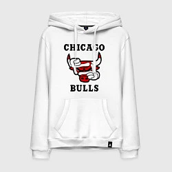 Мужская толстовка-худи Chicago Bulls SWAG