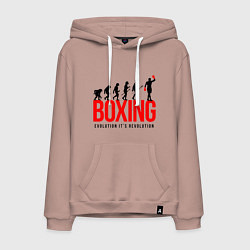 Мужская толстовка-худи Boxing evolution