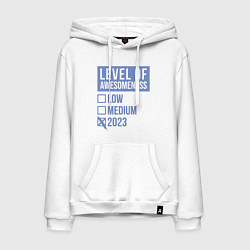 Мужская толстовка-худи Level 2023