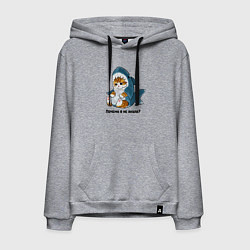 Мужская толстовка-худи Грустный котёнок в костюме акулы