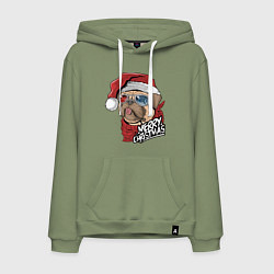 Толстовка-худи хлопковая мужская Pug merry christmas, цвет: авокадо