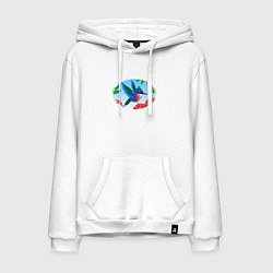 Мужская толстовка-худи Мультяшная колибри