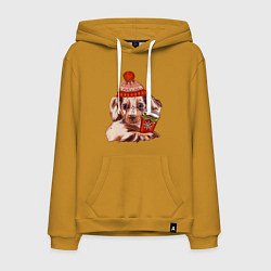 Мужская толстовка-худи Щенок в зимней шапке и с кофе