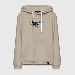 Толстовка-худи хлопковая мужская Голубая сойка, цвет: миндальный