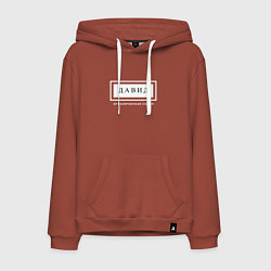 Мужская толстовка-худи Имя Давид: ограниченная серия