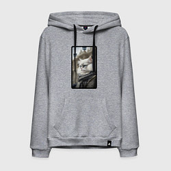 Мужская толстовка-худи Санкт-Петербург котик