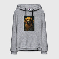 Мужская толстовка-худи Золотистый ретривер в очках