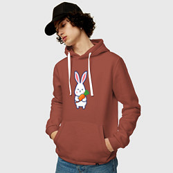 Толстовка-худи хлопковая мужская Милый заяц с морковью, цвет: кирпичный — фото 2