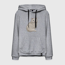 Мужская толстовка-худи Вышивка Кот