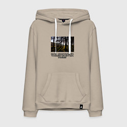 Мужская толстовка-худи Закат на краю леса