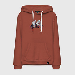 Мужская толстовка-худи Енотики на велике