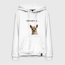 Мужская толстовка-худи Собака съела товар