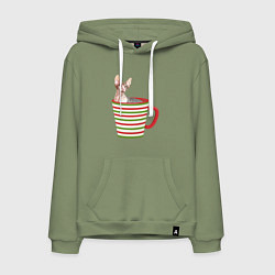 Мужская толстовка-худи Сфинкс в новогодней полосатой кружке