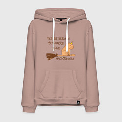 Мужская толстовка-худи Мем капибара на метле: фея и ведьма