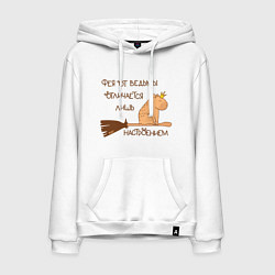 Мужская толстовка-худи Мем капибара на метле: фея и ведьма