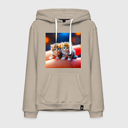 Мужская толстовка-худи Два милых пушистых котика сидят на ладони