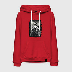 Толстовка-худи хлопковая мужская Большой Медведь, цвет: красный