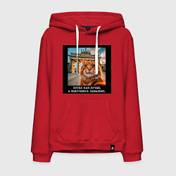 Мужская толстовка-худи Рыжий кот: хотел как лучше получилось идеально