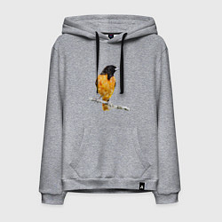 Мужская толстовка-худи Иволга