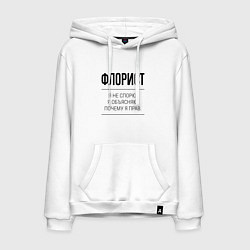 Мужская толстовка-худи Флорист не спорит