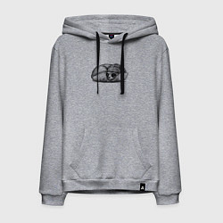 Мужская толстовка-худи Стильная лиса на отдыхе