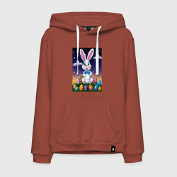 Мужская толстовка-худи Ушастик и яички