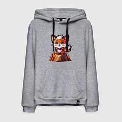 Мужская толстовка-худи Лисёнок-альпинист