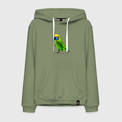 Толстовка-худи хлопковая мужская Зеленый попугай, цвет: авокадо
