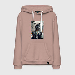 Мужская толстовка-худи Молодая пантера - модница из Нью-Йорка