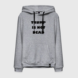 Толстовка-худи хлопковая мужская Trump is not dead - motto, цвет: меланж