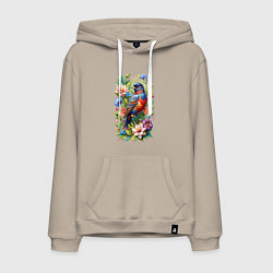 Мужская толстовка-худи Расписной овсянковый кардинал среди цветов