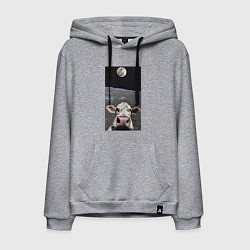 Мужская толстовка-худи Корова делает селфи на Луне - Земля в космосе